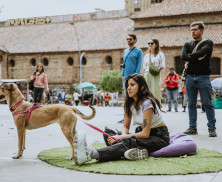 "Yoga en el Parque"