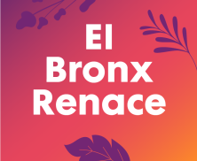 El Bronx Renace - Columna de Margarita Díaz Casas
