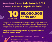 Premio Festival Centro 2025