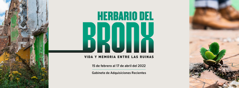 herbario_bronx