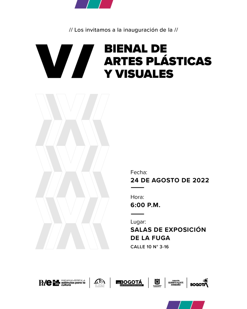 VI Bienal de Artes Plásticas y Visuales FUGA